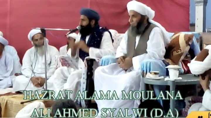 most beautiful bayan  Hazrat allama molana Ali ahmed sialvi sahib