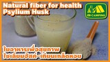 ใยอาหารจากธรรมชาติ เพื่อสุขภาพ ไซเลี่ยมฮัสค์ หรือ เทียนเกล็ดหอย  Psylium Husk | English Subtitles