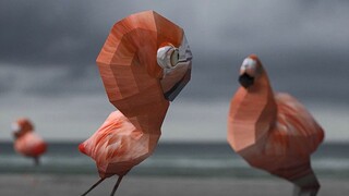 Linh hoạt và có thể thu vào, chim hồng hạc biến hình! "DVEIN VS FLAMINGOS"