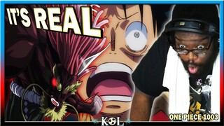 OMG IT'S REAL!! KAIDO BABY SHAKE MODE ACTIVATED! | One Piece Chapter 1003 LIVE REACTION - ワンピース