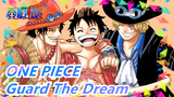 [ONE PIECE] I Am Captain, It Is My Duty To Guard The Dream Of My Partner