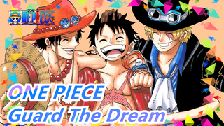 [ONE PIECE] I Am Captain, It Is My Duty To Guard The Dream Of My Partner