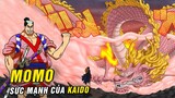 Momonosuke sức mạnh Rồng Thần của Kaido , Trái Ác Quỷ nhân tạo bị CP0 phát hiện [ One Piece 1023+]