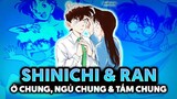 Shinichi và Ran - Từ bạn học Chung Lớp cho đến ở "Chung Nhà" =))) | Thám Tử Lừng Danh Conan