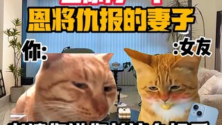 《猫meme小剧场》当你有一个恩将仇报的妻子时！