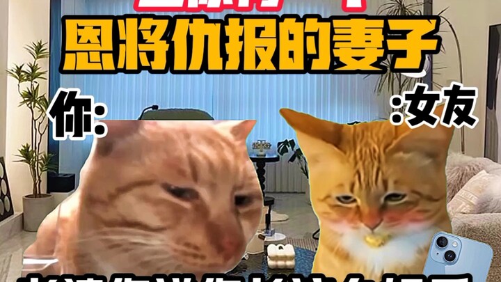 《猫meme小剧场》当你有一个恩将仇报的妻子时！