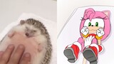 [CRD·Animation] Hedgehog Soft Belly Reality VS Dimensi Kedua