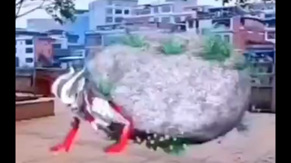 Simpan Nol