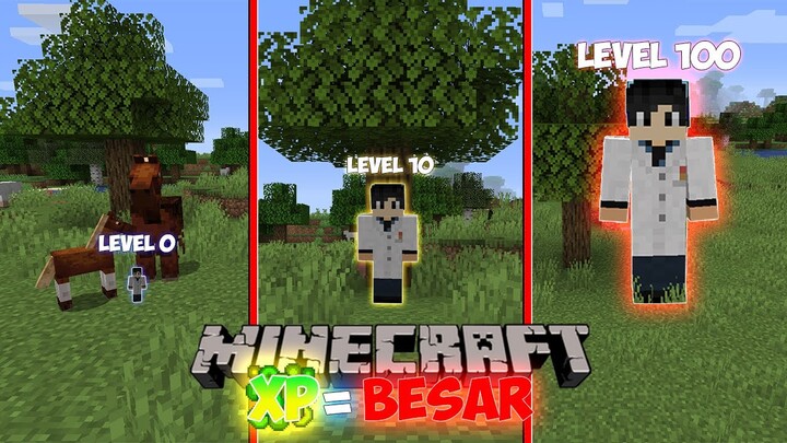 Ketika Level Membuat Tubuh Kita Semakin Besar Di Minecraft