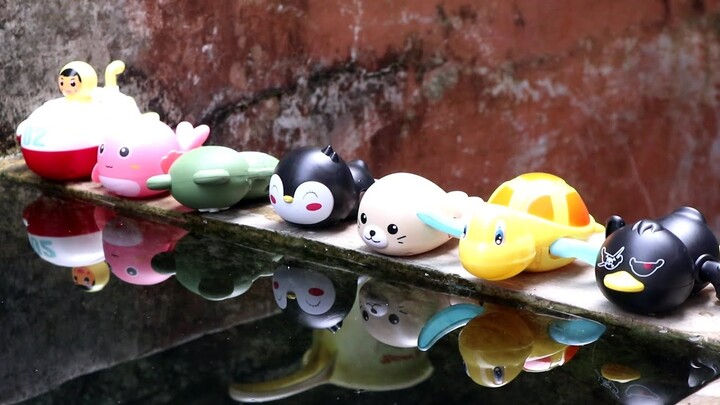 Menemukan Kura - kura Berenang, Ikan Paus, Kodok, Bebek, Anjing Laut, Pinguin, Mainan Kapal Selam