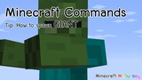 Minecraft Commands [Thai]: วิธีสร้างซอมบี้ยักษ์ Giant Zombie [1.7.2]