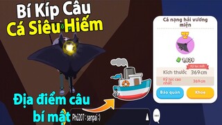 Play Together | Cách Câu Cá Hiếm Tại Các Điểm Câu Bí Mật Không Phải Ai Cũng Biết! Câu Cá Nạng Hải