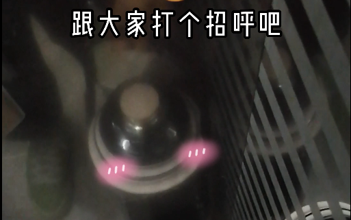 今天早上没睡醒~拎着暖壶去旅行~