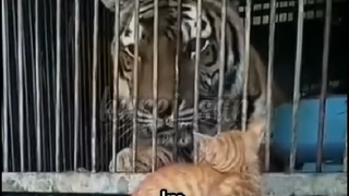 Size doesn't matter