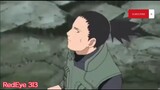Naruto Shippuden Tagalog episode 313