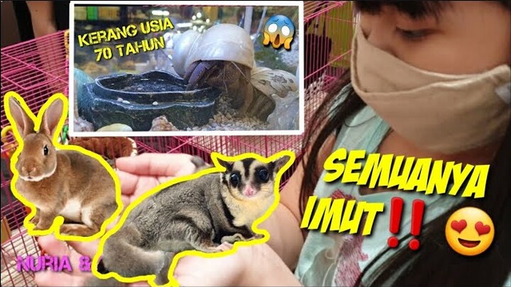 NURIA MAU ADOPSI "PETS"‼️😄🦨🐚 ADA YANG UMUR 70 TAHUN 😅 #nuriaandmom