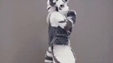 So classic! ! ! The orcish dancing sisters Sistar-Shake it! ! 【Fursuit Dance】【Silver Carbon】