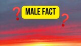 Male Fact 1