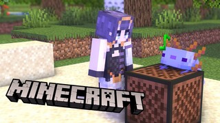 【Minecraft】 Late Night Minecraft