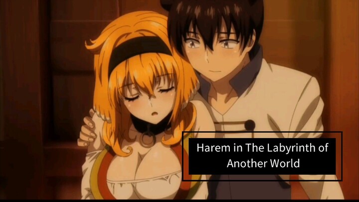 hahh?? ||Harem in The Labyrinth of Another World