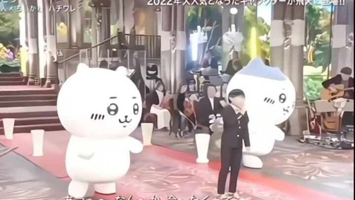 声优小八的歌声 好可爱呀