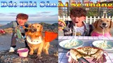 Dương KC | Gia Đình Gâu Đần #7 | Chó thông minh đáng yêu | funny cute smart dog pets | Thú Cưng TV