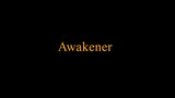 The Awakener 2018