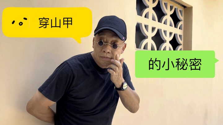 穿山甲的小秘密