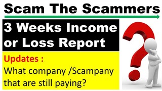 Scam the Scammers Profit and Loss Report