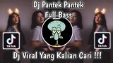 DJ PANTEK PANTEK ( SUARA NANA ) FULL BASS VIRAL TIK TOK TERBARU 2021