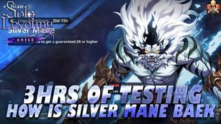 [Solo Leveling: Arise] - Silver Mane Baek 3HR testing RESULTS! Data & conclusion. Yes he is bugged
