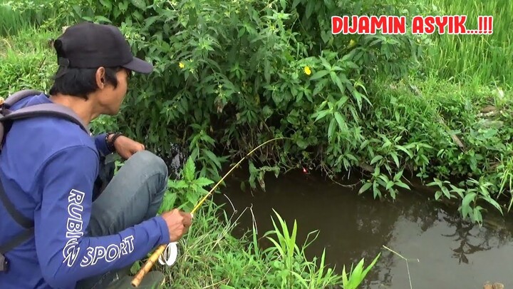 ASYIKNYAA... !! Mancing Wader di Selokan Tengah Sawah