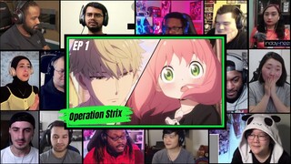 Operation Strix || Spy x Family Episode 1 || Reaction Mashup