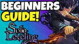 Solo Leveling: Arise BEGINNERS GUIDE!!!