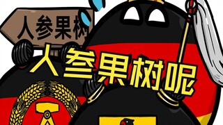 【波兰球】波兰球cosplay 第十一集