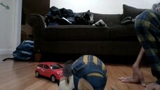 car crash vs dog with sword