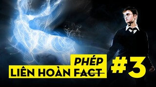 LIÊN HOÀN FACT #3: LẨU PHÉP BĂNG CHUYỀN | Harry Potter | Ten Tickers