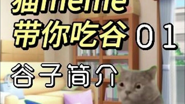 猫meme带你吃谷【谷子简介】