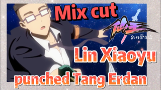 [The daily life of the fairy king]  Mix cut |  Lin Xiaoyu punched Tang Erdan