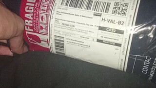 Life party cream