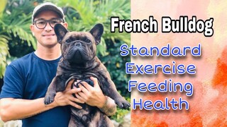 French Bulldog Standard // tips on how to live with the frenchies// filipino