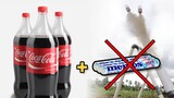 Amazing DIY Experiment With Coca-cola