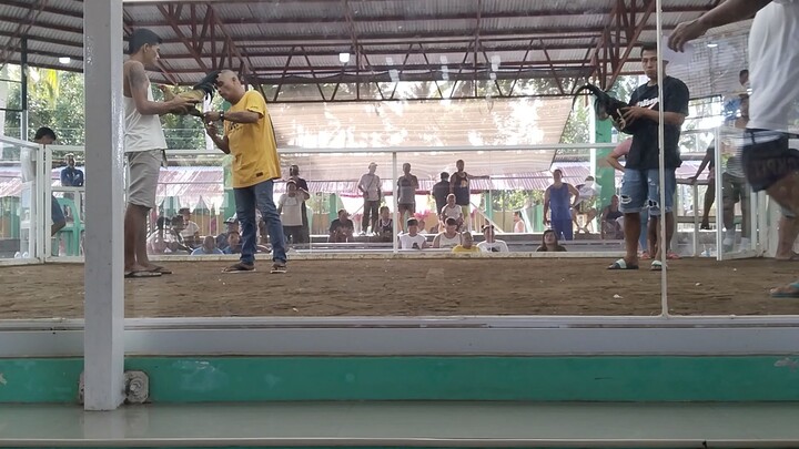 2wins libagon so. leyte 1st fight win