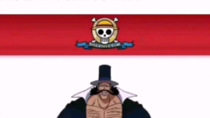Oh my god, Flower Saint, is this a big score again? [One Piece]