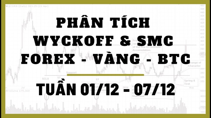 ✅ Phân Tích FOREX - VÀNG - BITCOIN Tuần 01-07/12 Theo Phương Pháp WYCKOFF & SMC | TraderViet