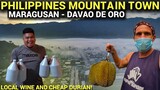 PHILIPPINES MOUNTAIN TOWN - Cheap Durian and Local Wine In Davao (Province Life)