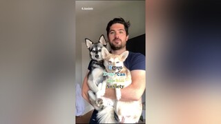 In what ways do dogs improve your life? LearnOnTikTok dogs anxiety foryou