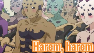 Harem, harem