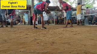 Dumayo kami sa Getafe Bohol, gamit ang aming mga Manok Bisaya!