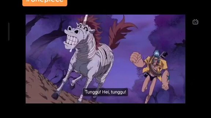 Funny Moments One Piece